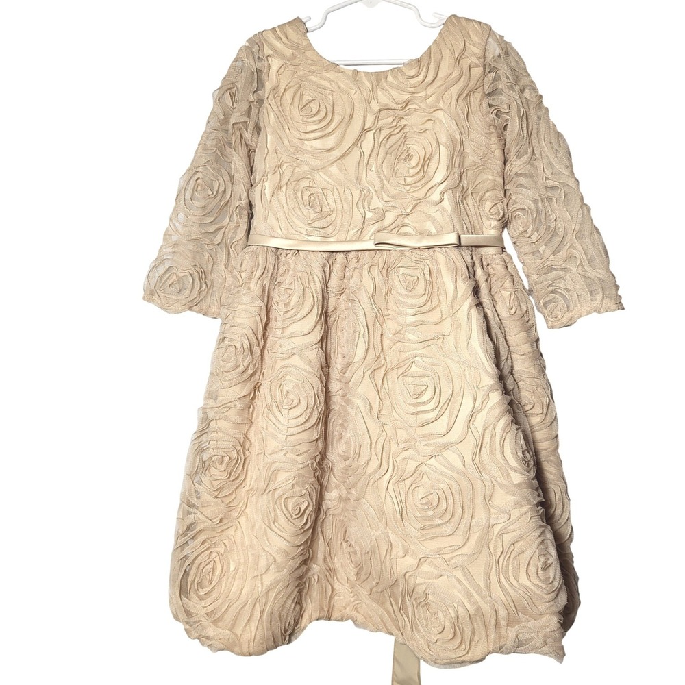 Sweet Kids Girls Champagne 3D Rosette Mesh Long Sleeve Dress 8 Flower Girl Party